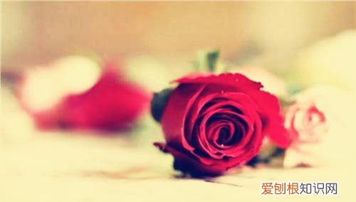 结婚22年纪念日祝福语有哪些 结婚22周年的感言说说