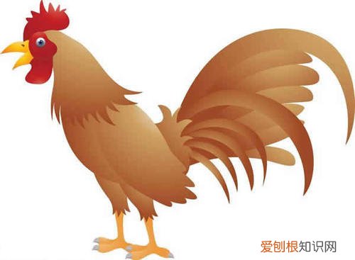 属鸡男和属狗女的适合做夫妻吗 属鸡男和属狗女的性格怎样