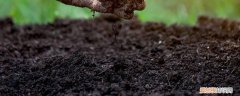 酸性土壤怎么制作,适合种什么花卉 酸性土壤怎么制作，适合种什么花