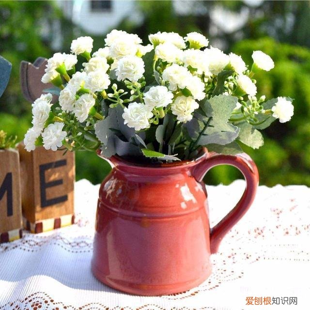 家里养花烂根是什么原因，养花的5个“窍门”，简单实用，花长得茂盛不怕烂根！