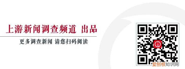 公益活动流浪狗，“流浪狗基地”在多个公众号募捐，部分善款去向引争议