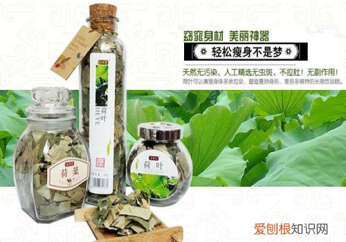 什么茶最减肥 试试这6款想要不瘦都难