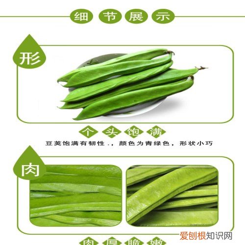 刀豆长什么样子 刀豆具有什么功效和作用