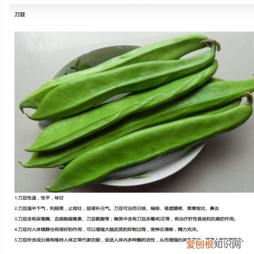 刀豆长什么样子 刀豆具有什么功效和作用