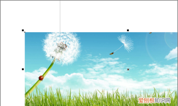 cdr怎么移动，cdr怎么把图片放到文本框里