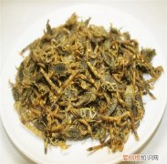 全虫是什么全虫用药有哪些禁忌呢