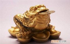 金蟾的摆放注意事项金蟾如何开光