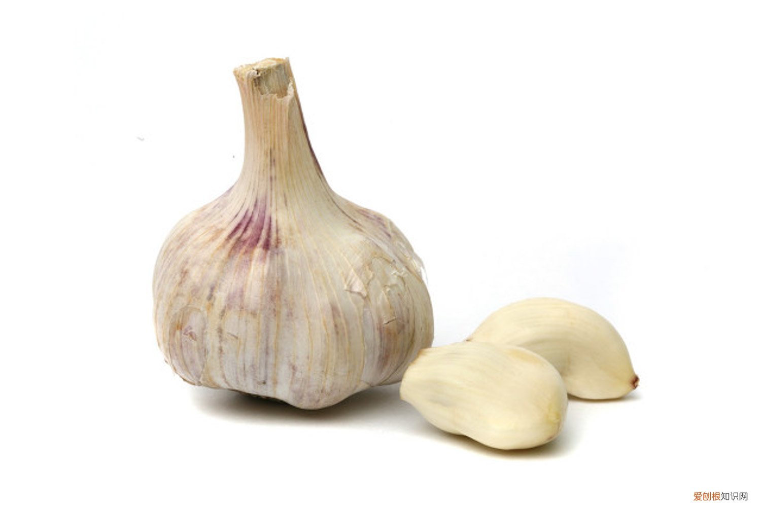 什么时间种大蒜视频 什么时间种大蒜