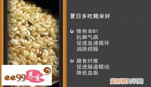 糙米的营养价值有哪些 食用糙米具有什么功效