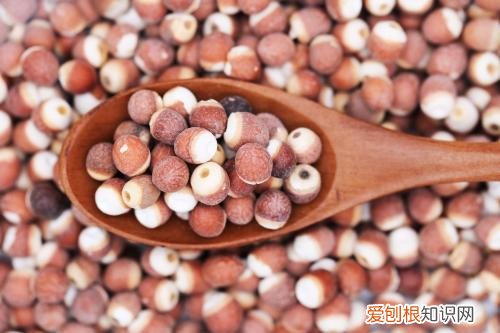 芡实的功效与作用及食用方法芡实怎么吃补肾