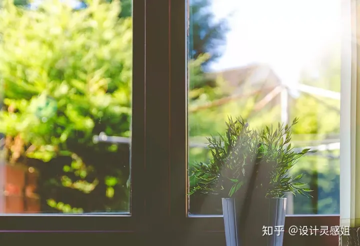 室内植物怎么种植，室内植物种植5方法，家居花草35张装修布置图，懒人秒懂小户型也适用