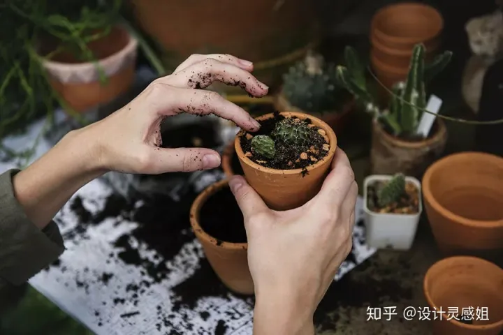 室内植物怎么种植，室内植物种植5方法，家居花草35张装修布置图，懒人秒懂小户型也适用