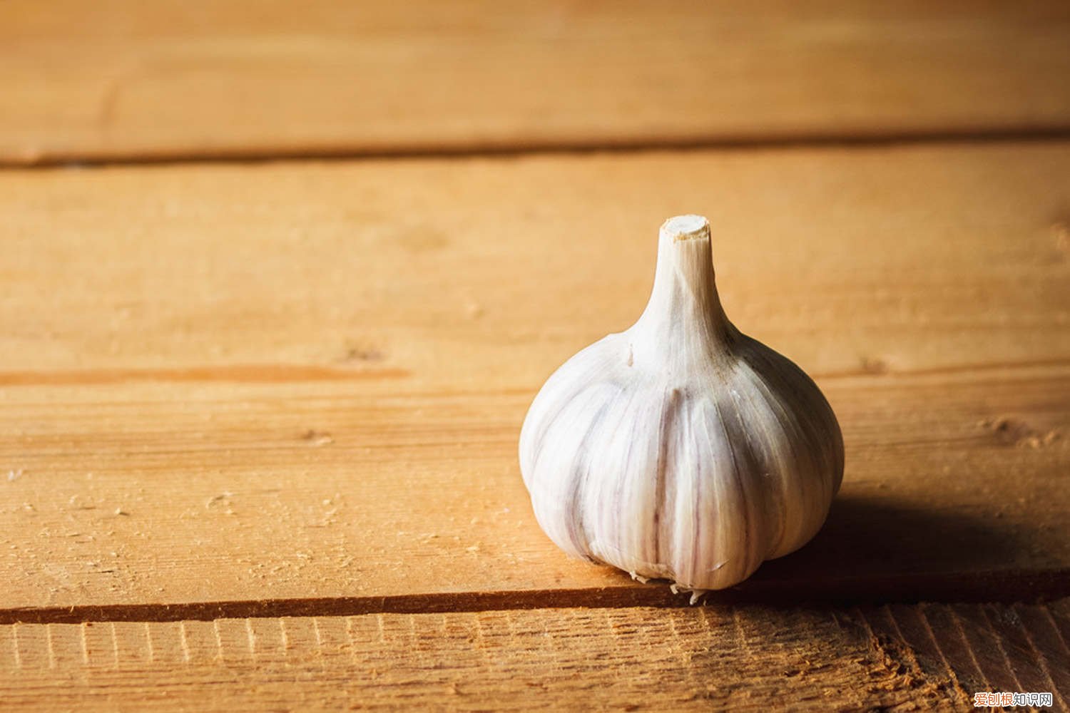 蒜头怎么种植 蒜头怎么种