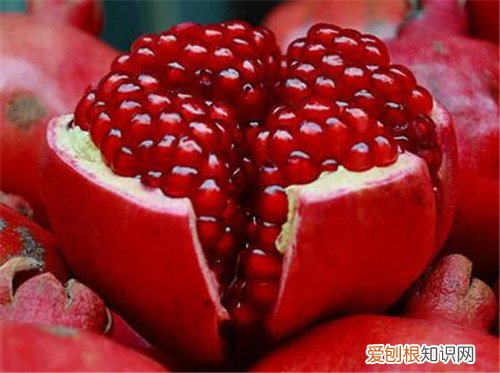 酸石榴和甜石榴的区别酸石榴和甜石榴功效一样吗