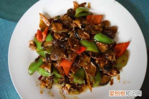 海葵的营养价值海葵怎么做营养好吃