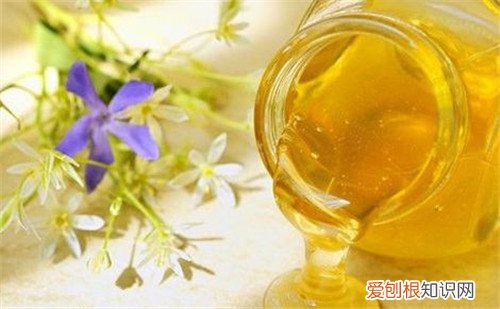 桂花蜜的功效与作用桂花蜜怎么做好吃