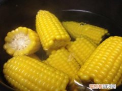 煮玉米需要多长时间 玉米有什么功效