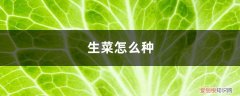 生菜怎么种植方法家里 生菜怎么种