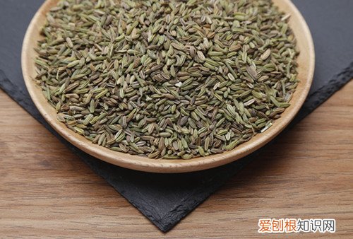小茴香作用有哪些 孜然和茴香是一样的吗