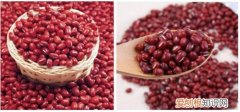 赤小豆和红豆的区别养颜补血最佳食疗方法