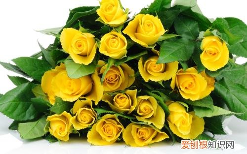 黄玫瑰代表什么 黄玫瑰如何搭配
