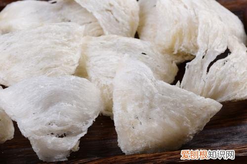 正宗燕窝一斤多少钱 燕窝价格受哪些因素影响