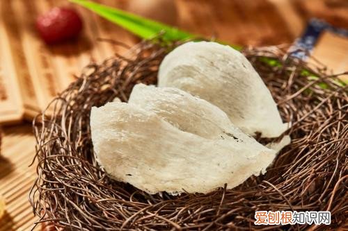 正宗燕窝一斤多少钱 燕窝价格受哪些因素影响