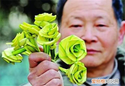 棕榈叶的寓意如何用棕榈叶折玫瑰花