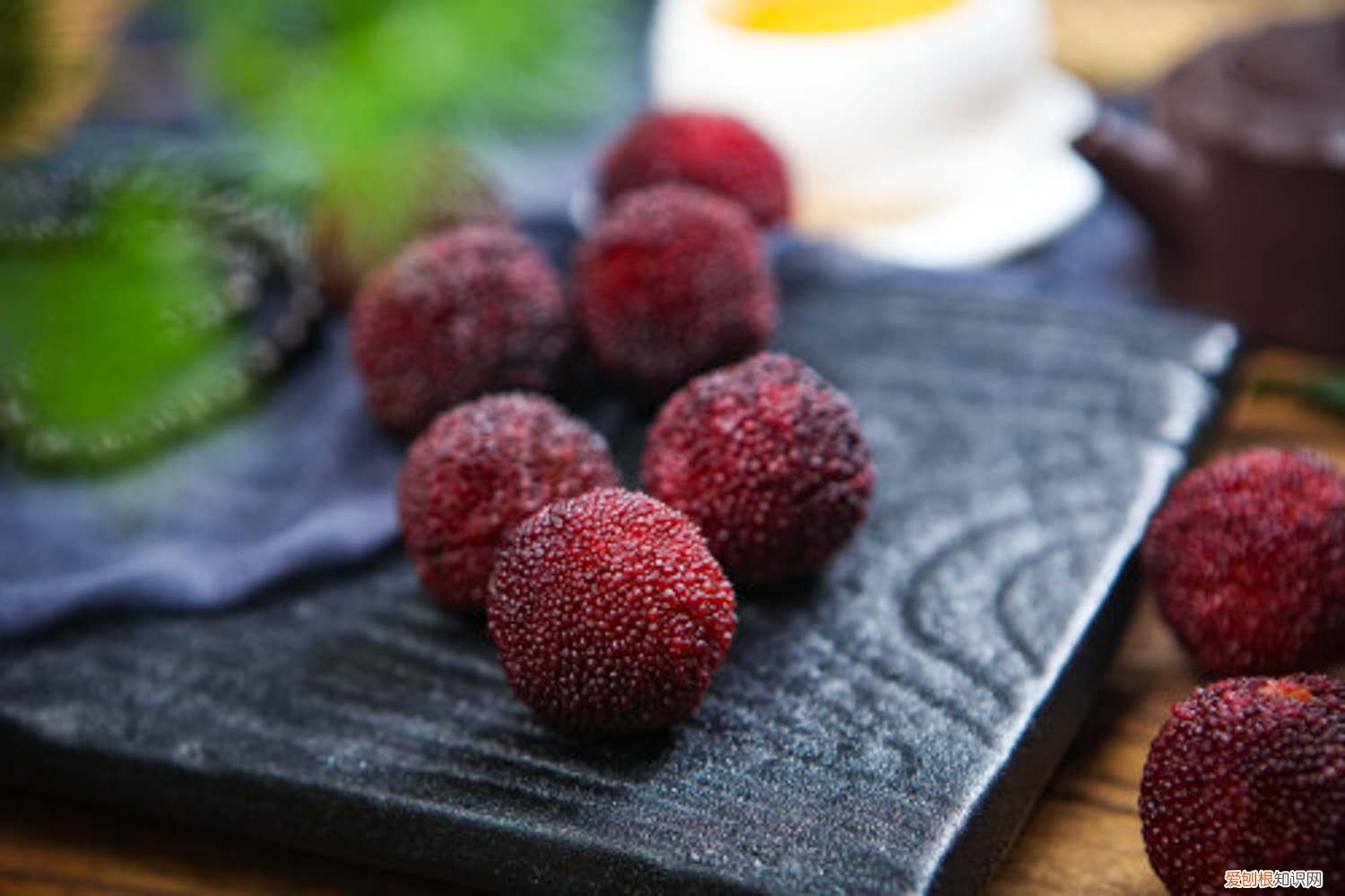 杨梅怎样种植 如何种植杨梅，种植后的管理方法