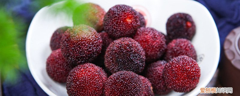 杨梅的繁殖方法 杨梅繁殖方法有哪些，常用哪种方法