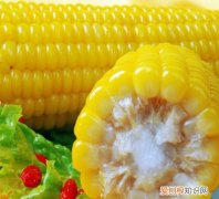 甜玉米的做法 甜玉米的功效和禁忌