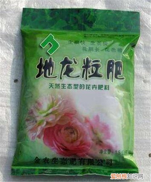 花卉专用肥都有哪些 花卉施肥时间一般是什么时候