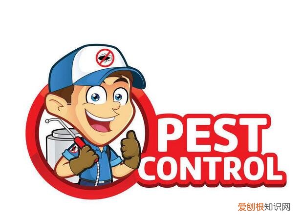 跳蚤怎么消灭 如何预防家里生跳蚤