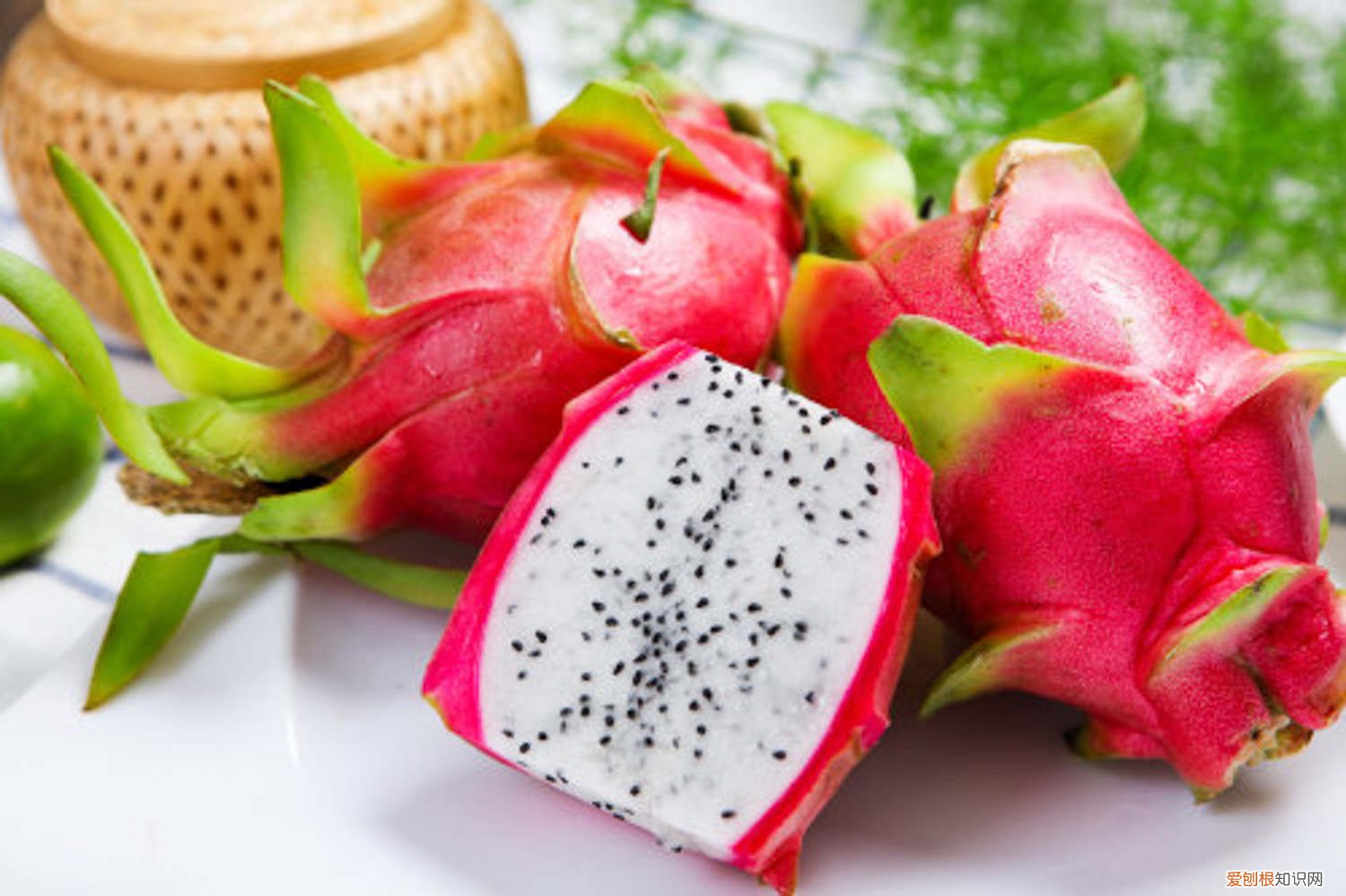 红心火龙果怎么种植 火龙果怎么种植