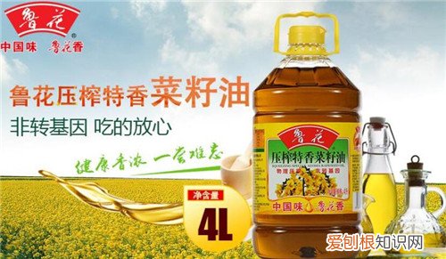 中国食用油哪个牌子好 2018年知名食用油品牌推荐