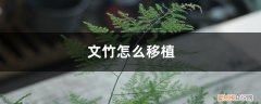 文竹怎么移植到假山 文竹怎么移植