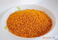 花粉的功效与作用及食用方法 最全花粉知识介绍