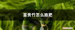 富贵竹施肥方法 富贵竹怎么施肥