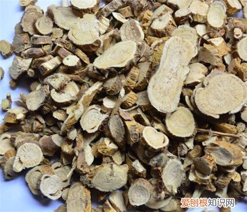 苦参的功效与作用这么强大 99%的人都不知道