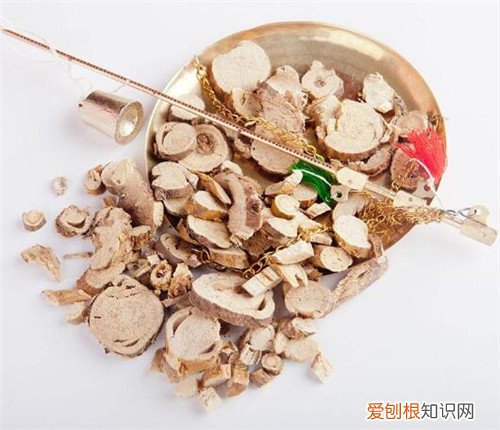 苦参的功效与作用这么强大 99%的人都不知道