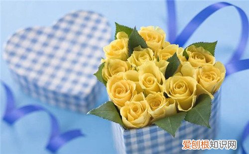 黄玫瑰代表什么意思 黄玫瑰怎么包装好看
