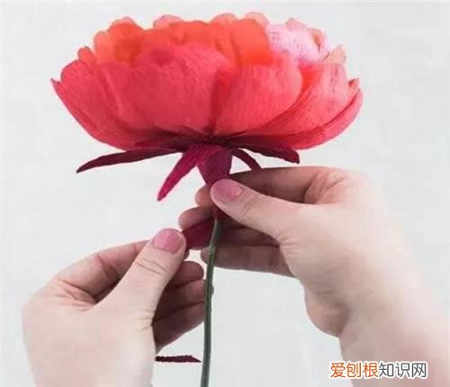 牡丹花纸花的折法图解 教你如何用纸折出漂亮的牡丹花