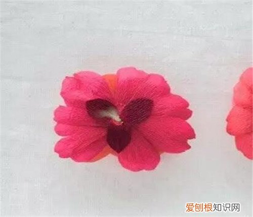 牡丹花纸花的折法图解 教你如何用纸折出漂亮的牡丹花