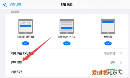 可以怎么修改苹果通知声音，苹果微信消息提醒声音怎么更改