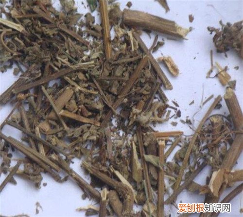 倒扣草是什么 倒扣草的功效与作用你知多少