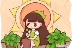 阴雨天快扦插！1分不花养10盆，成活率100%！