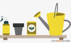 种植方法英语怎么读怎么写，用英文教宝宝种植物，播种、浇水、移栽、培土…R