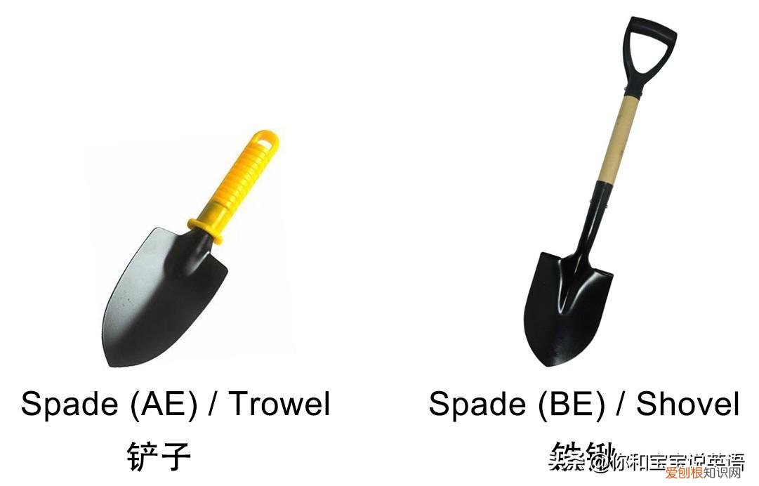 种植方法英语怎么读怎么写，用英文教宝宝种植物，播种、浇水、移栽、培土……