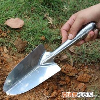 种植方法英语怎么读怎么写，用英文教宝宝种植物，播种、浇水、移栽、培土……