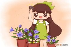 玉米面能太阳晒吗 玉米皮扔盆面，气温连降10℃，太阳再晒也不怕死！